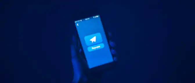 Цифровая осторожность: стоит ли пользователям Telegram бояться репостов и лайков после обвинений Дурова?